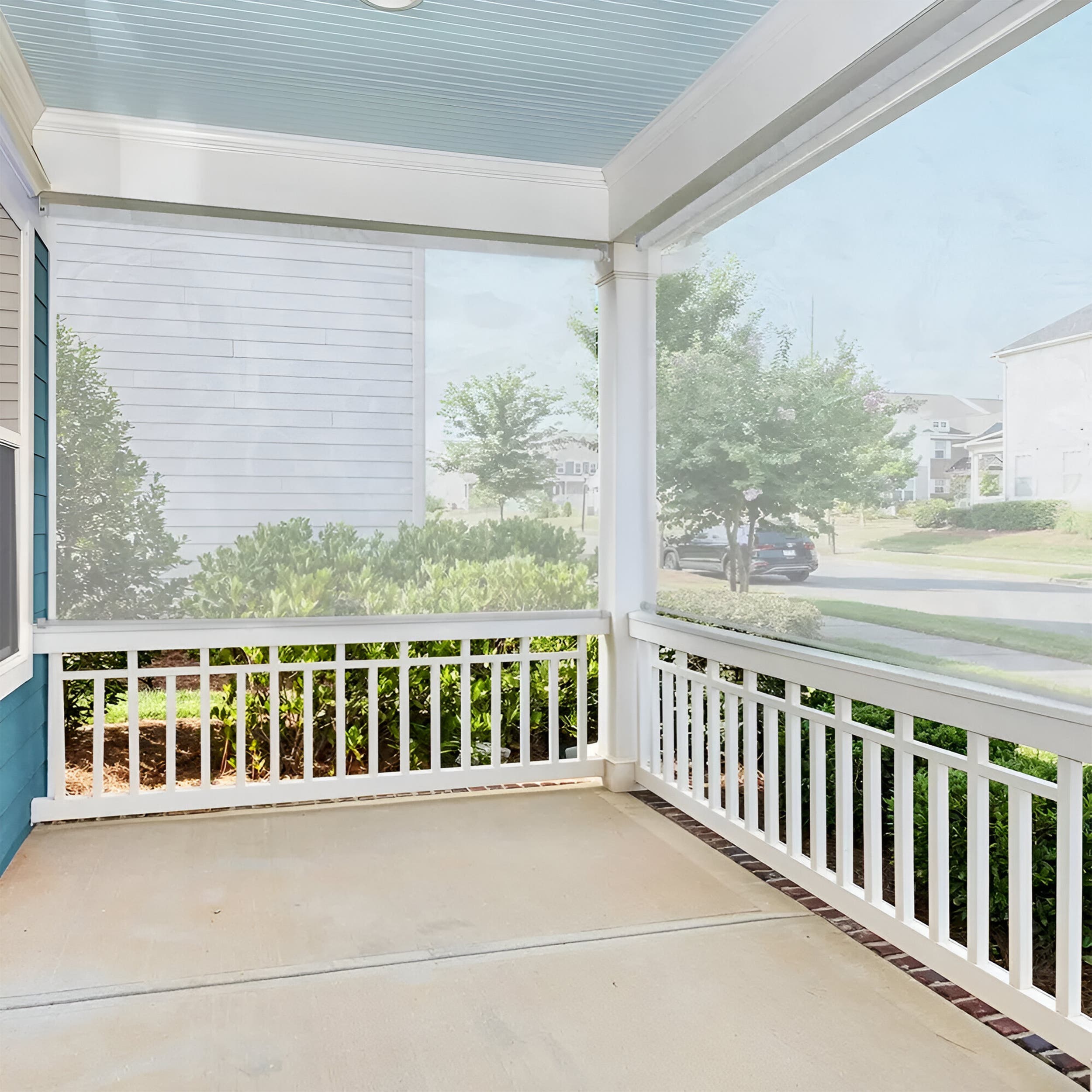 Clear Roller Shades image 1
