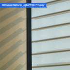 Light-Filtering Sheerluxe Shades image 3