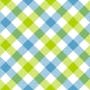 Checkered Throw Pillow fabric and color 2
